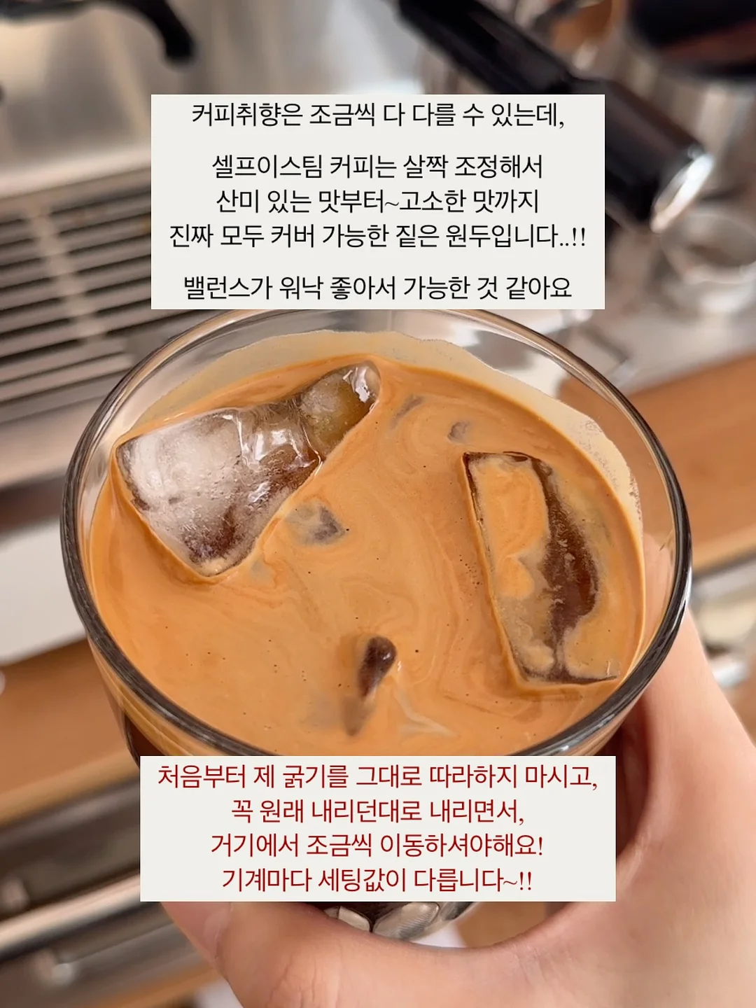 네페타 18