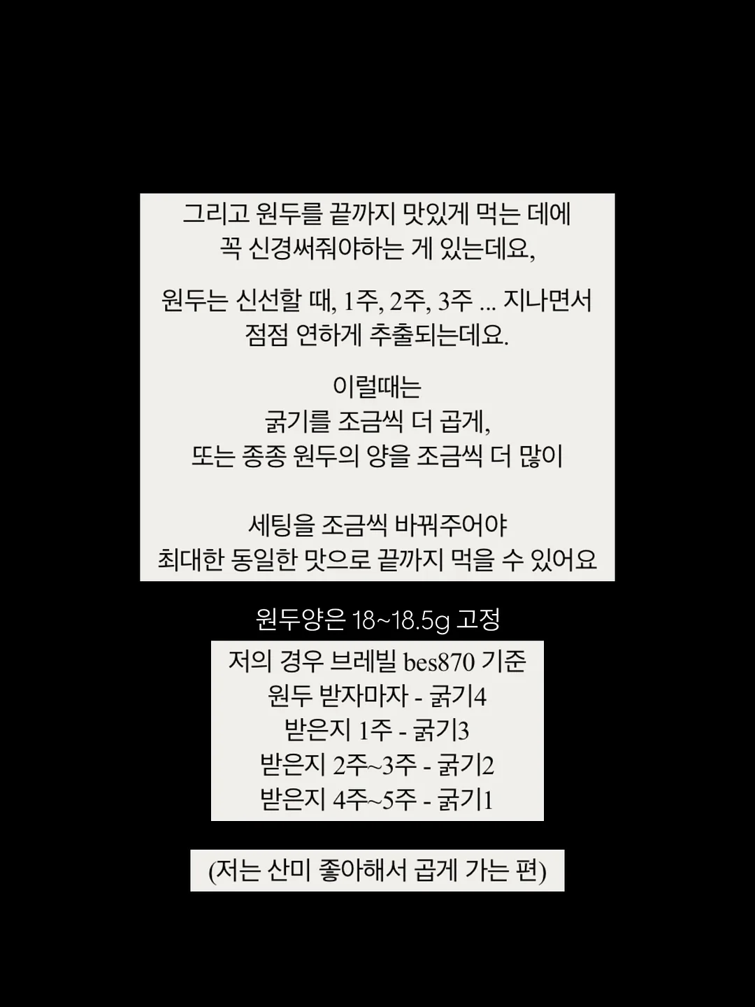 네페타 19