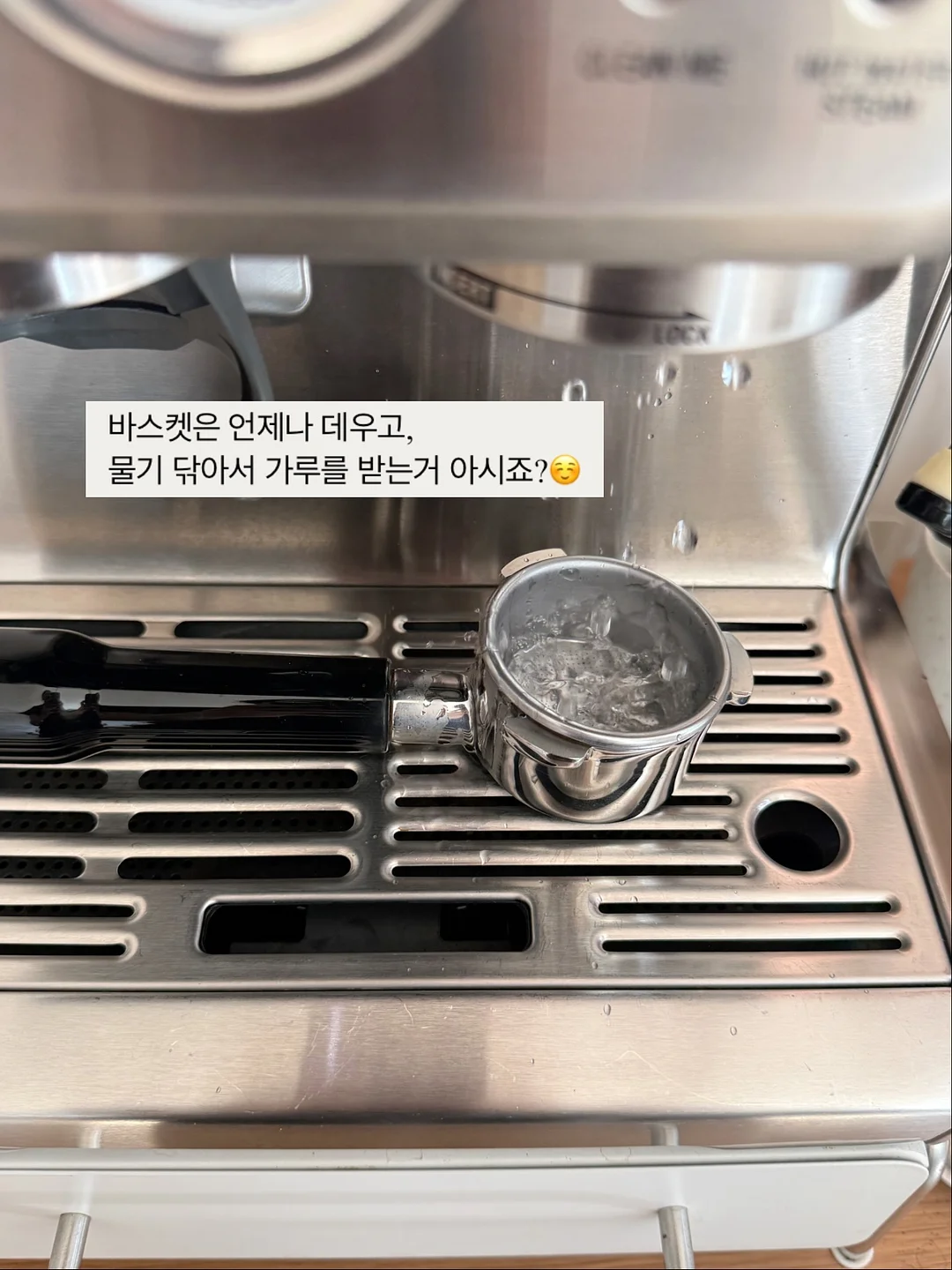 네페타 6
