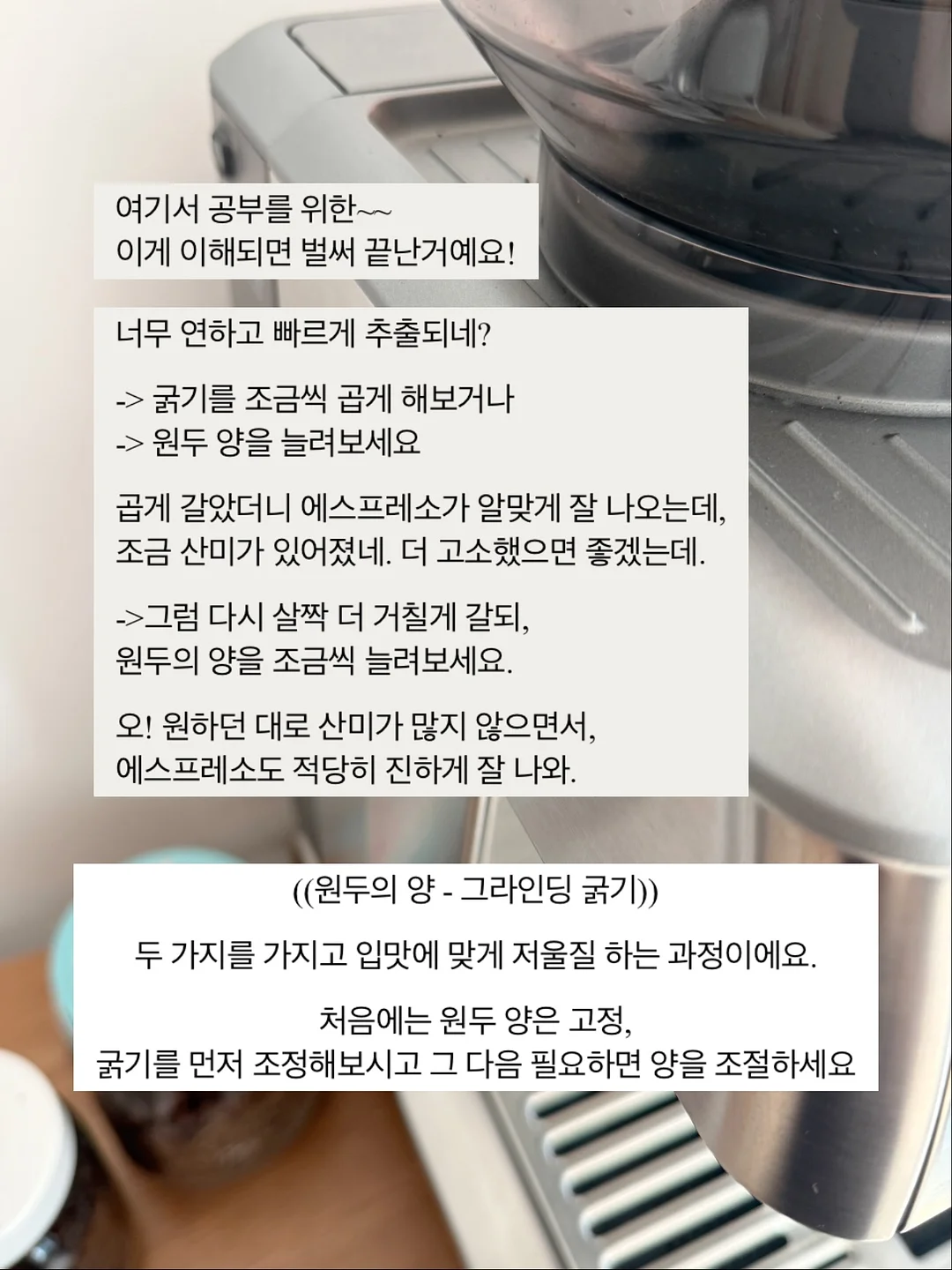 네페타 9