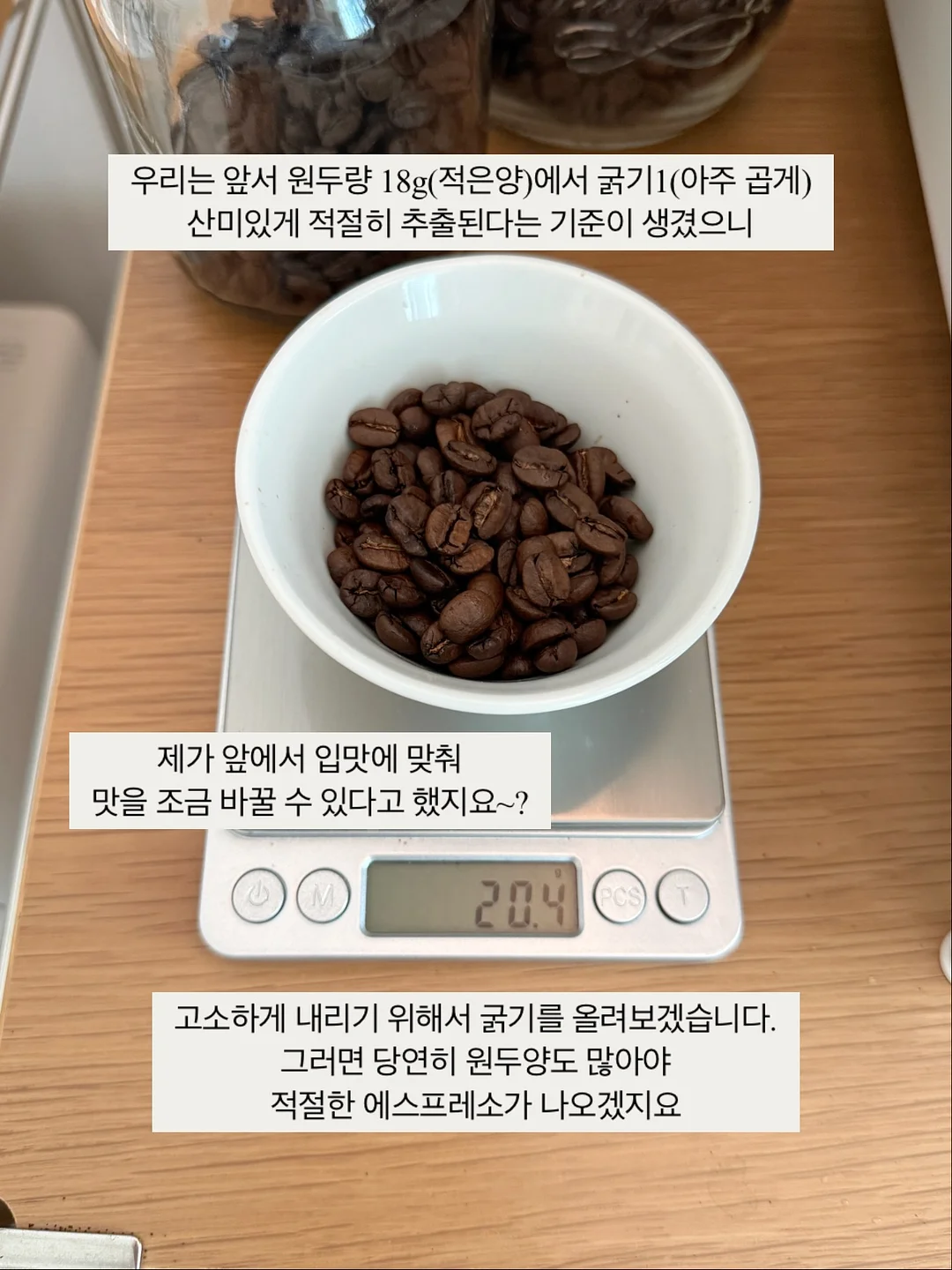 네페타 10
