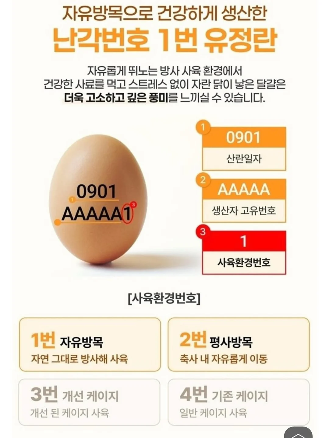 강아지 배변봉투 6