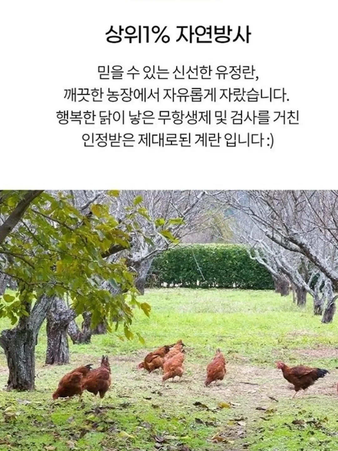 강아지 배변봉투 7