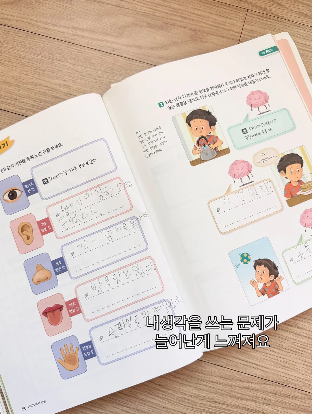 내리미 해열크림 11