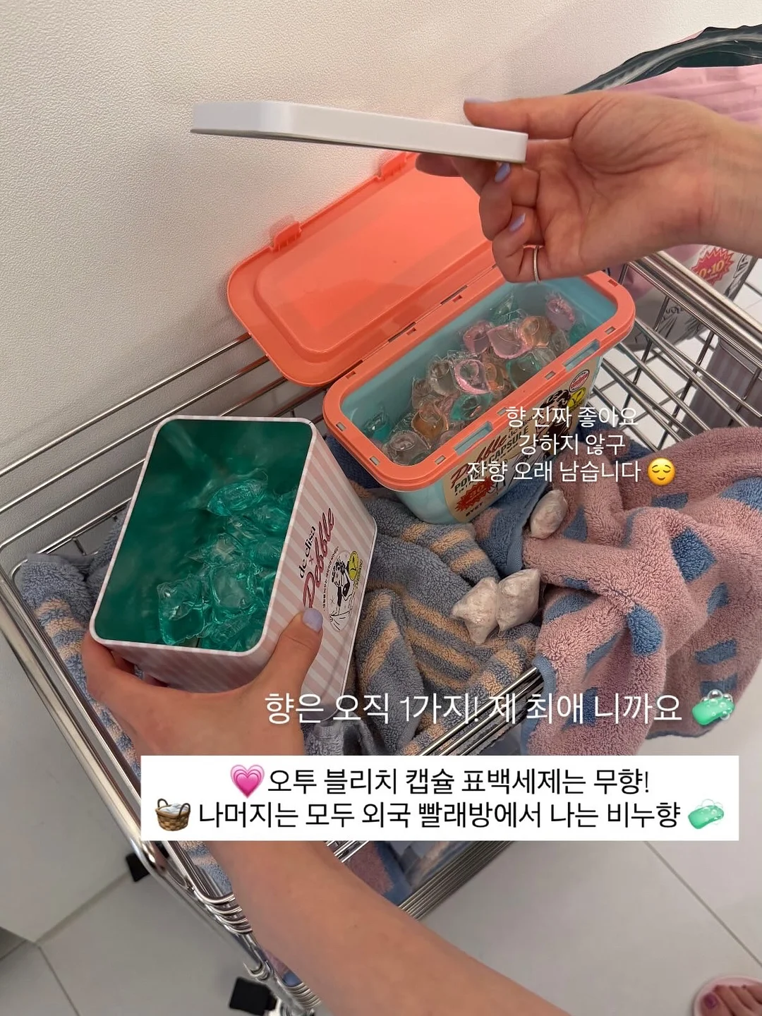 얼리버드 멤버십 6