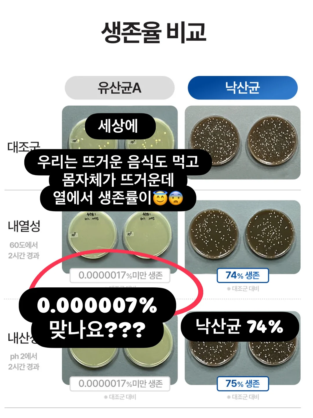 침형식 귀걸이 8
