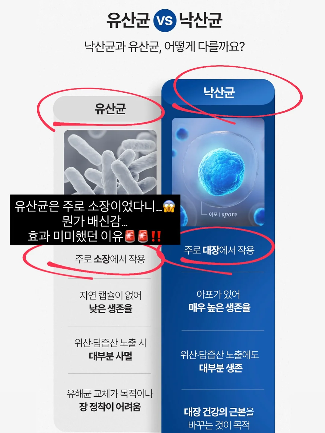 침형식 귀걸이 9