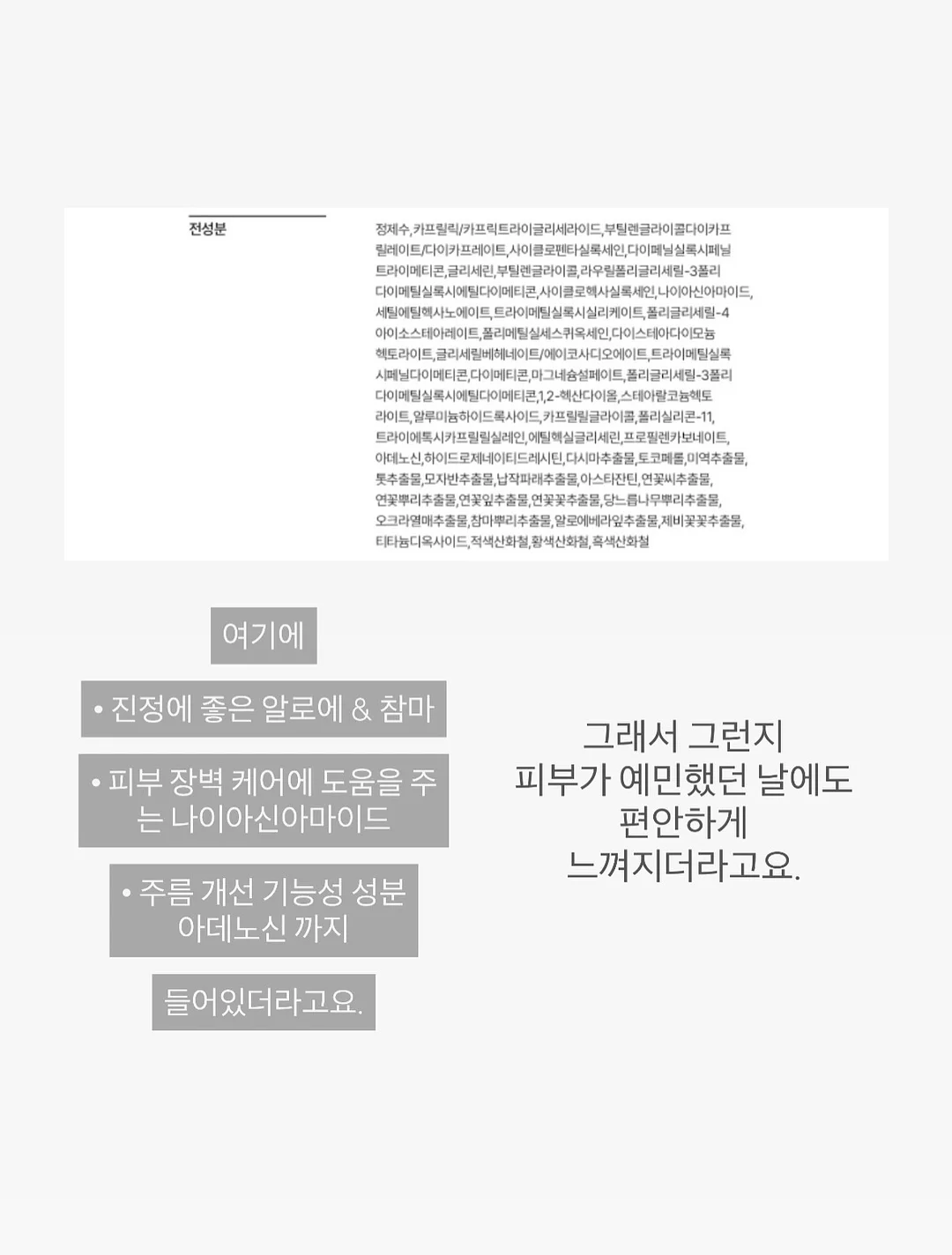 더나은바질페스토 6