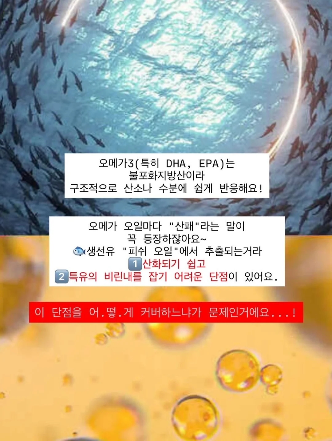 골드바 케이크 6