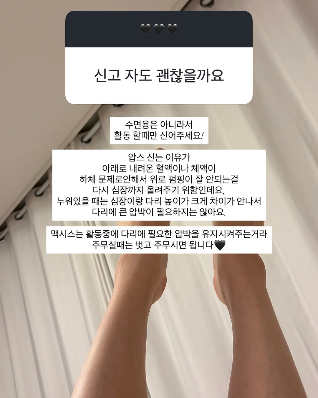 새송이버섯 16
