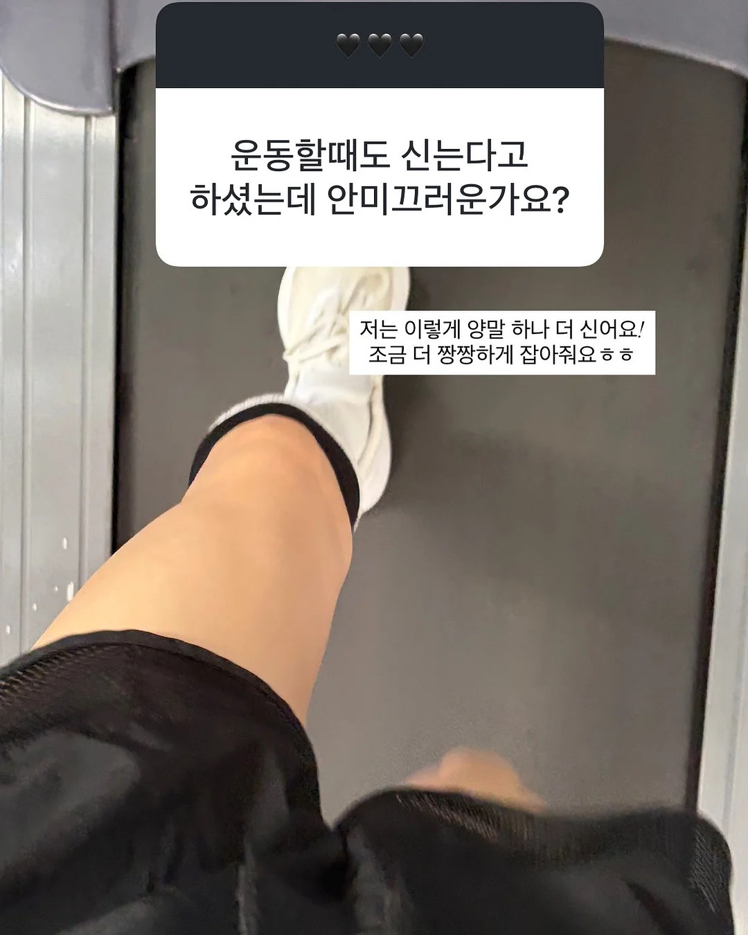 새송이버섯 17