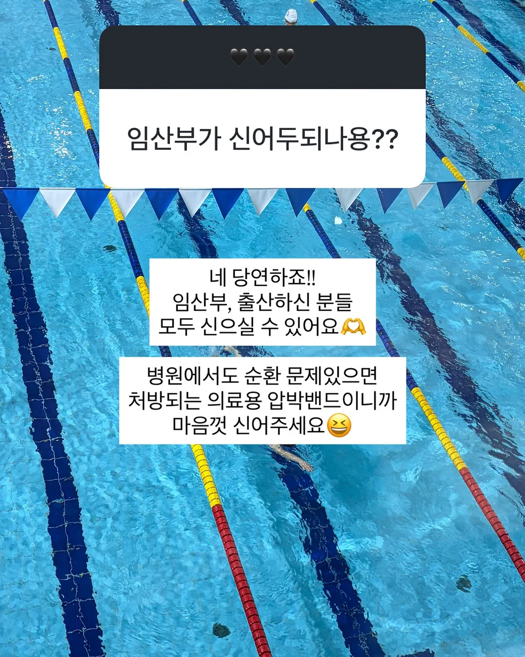 새송이버섯 18