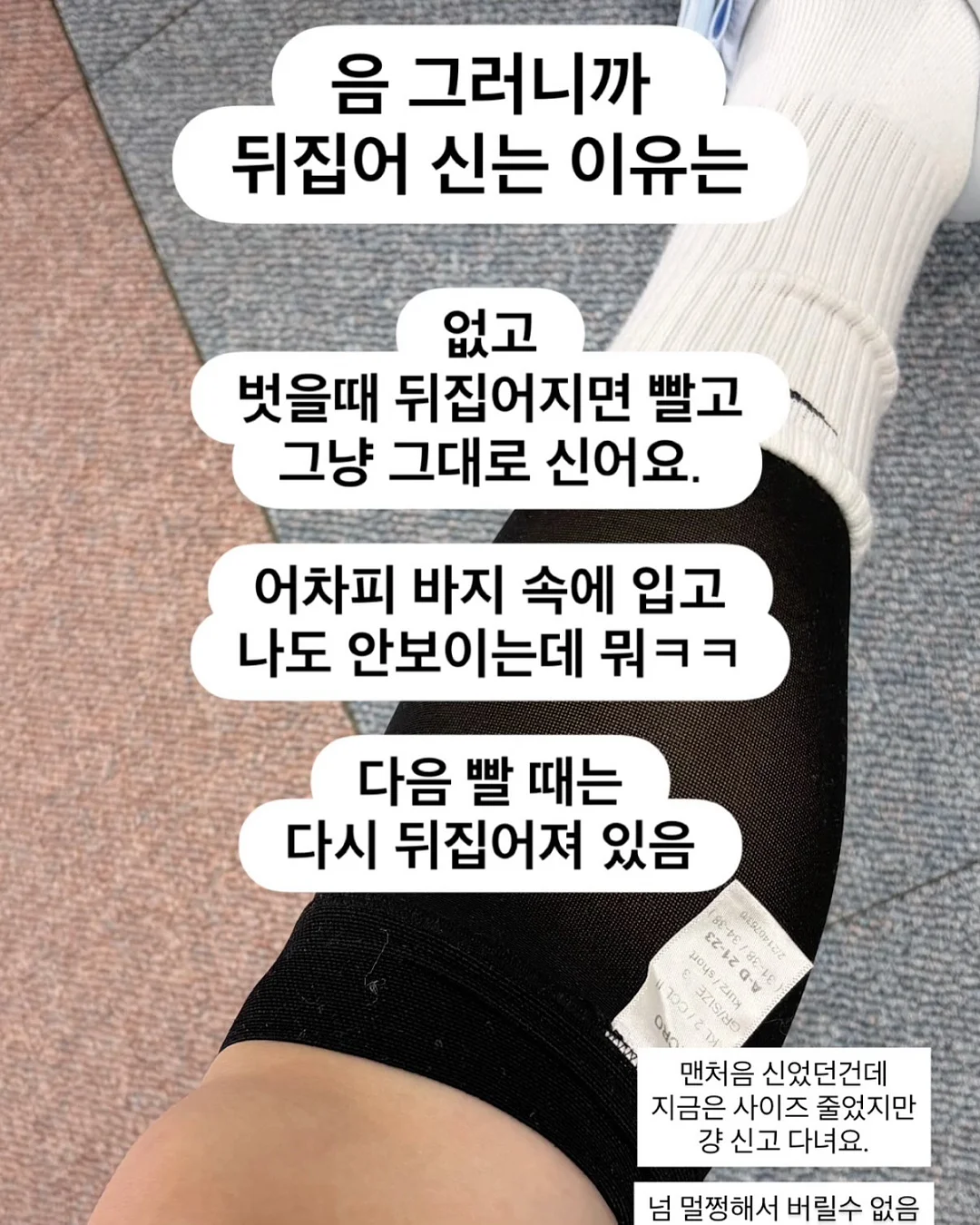 새송이버섯 19