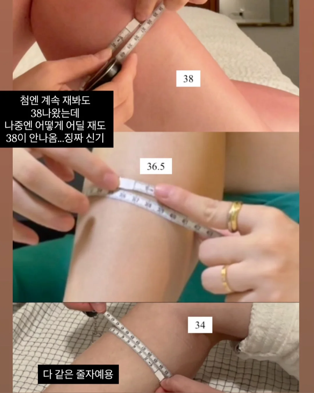 새송이버섯 20