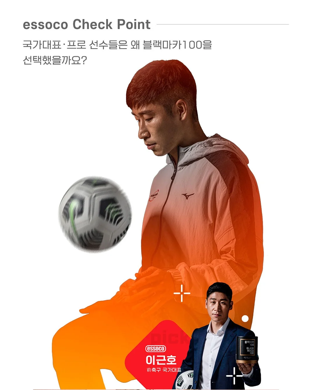 syuucashmere x hoya 염소 털 5