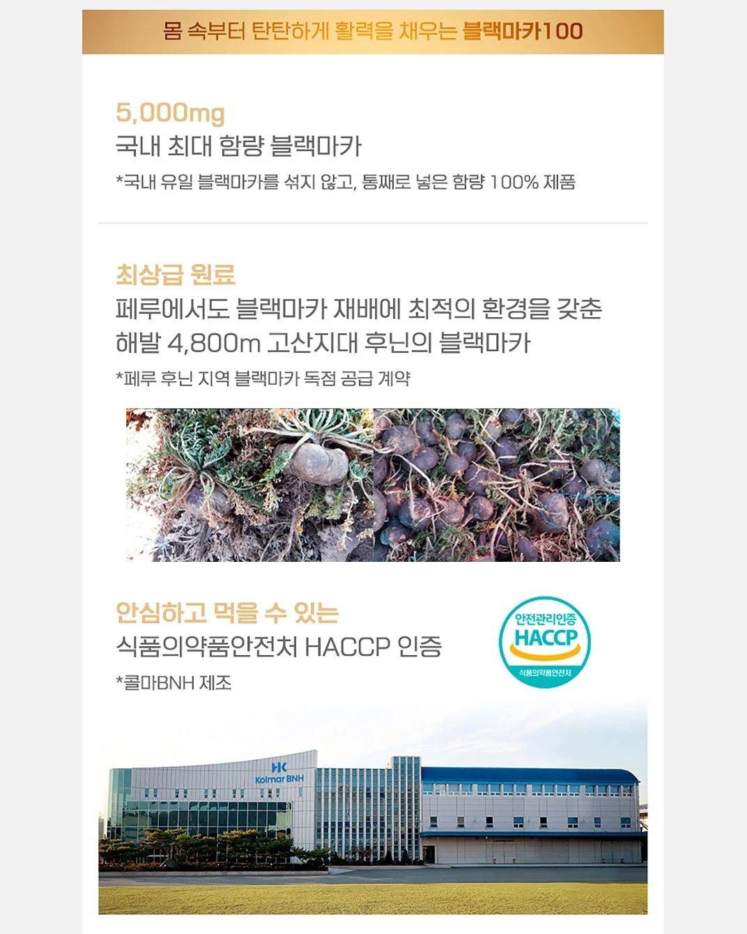 syuucashmere x hoya 염소 털 7