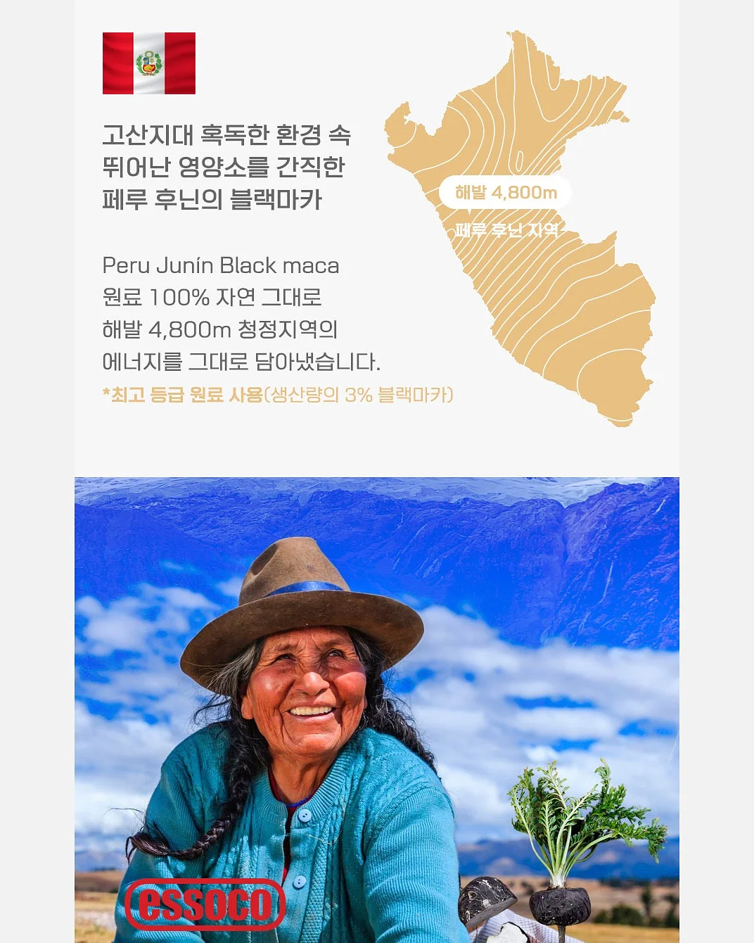 syuucashmere x hoya 염소 털 10