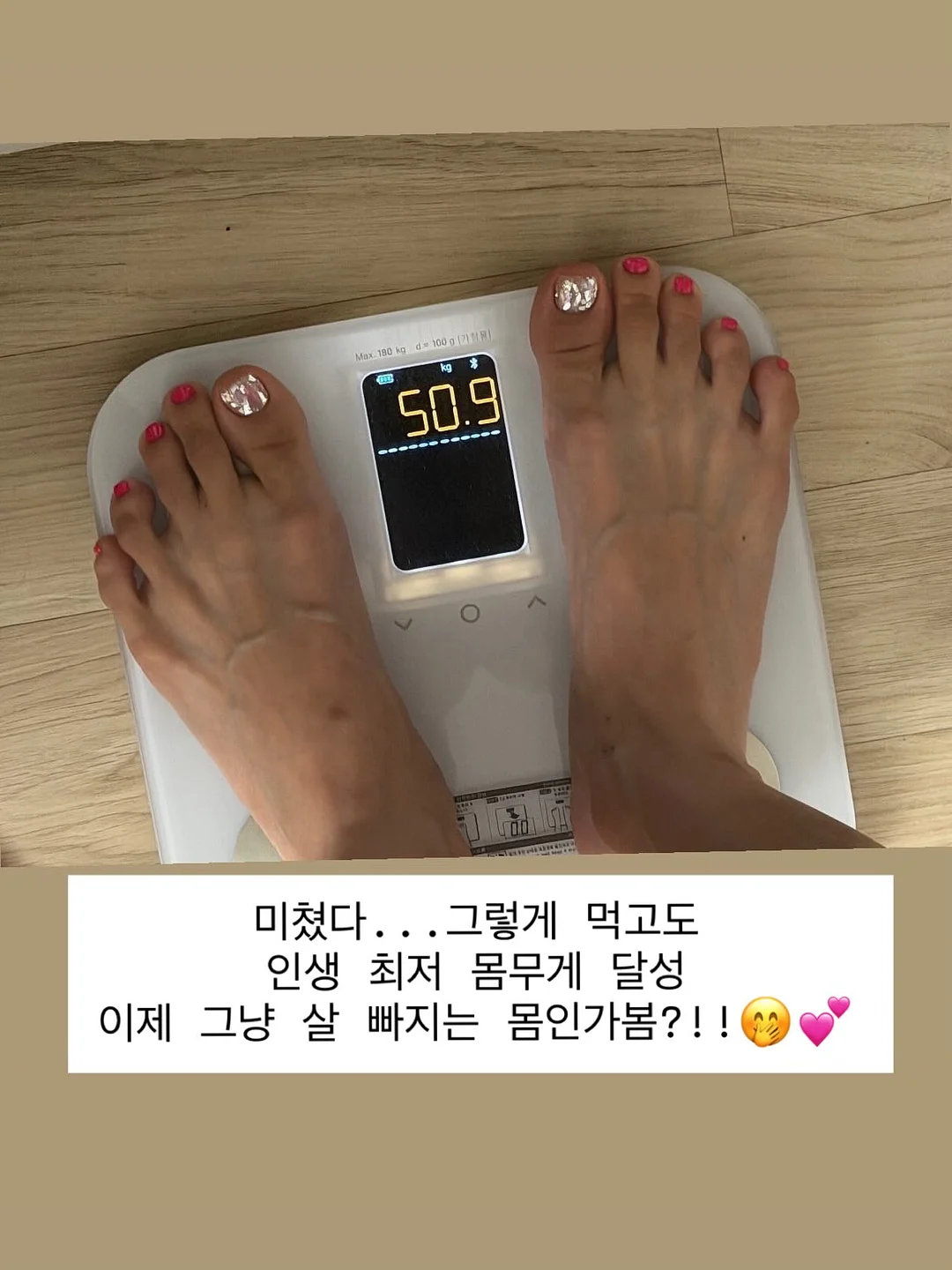 호접란 카네이션 바구니 1
