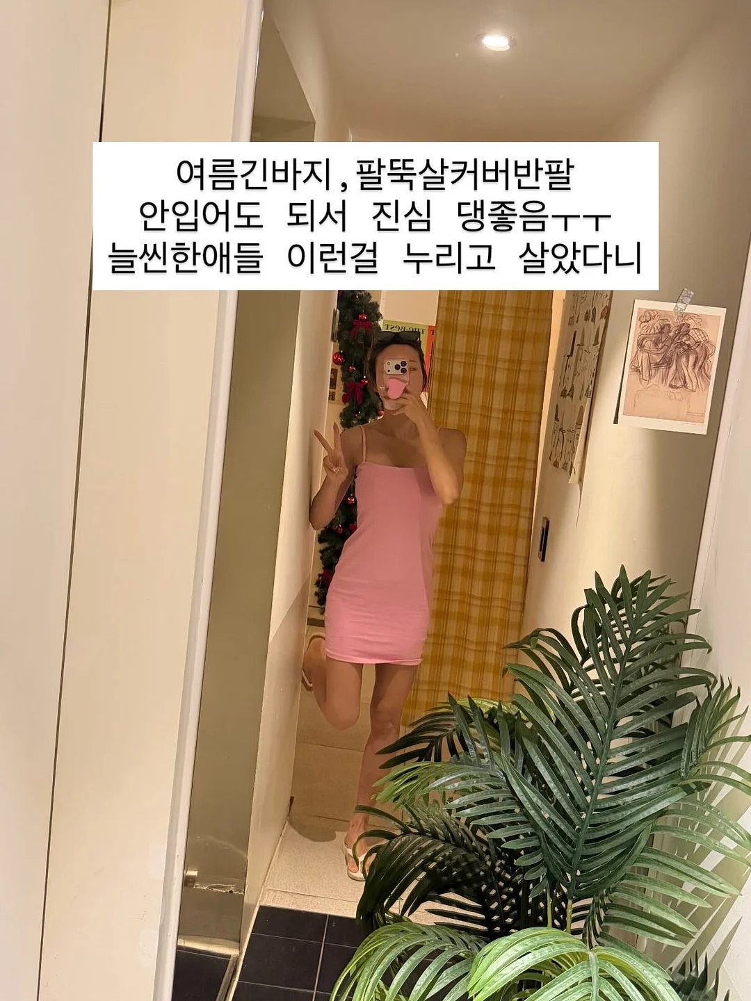 호접란 카네이션 바구니 15