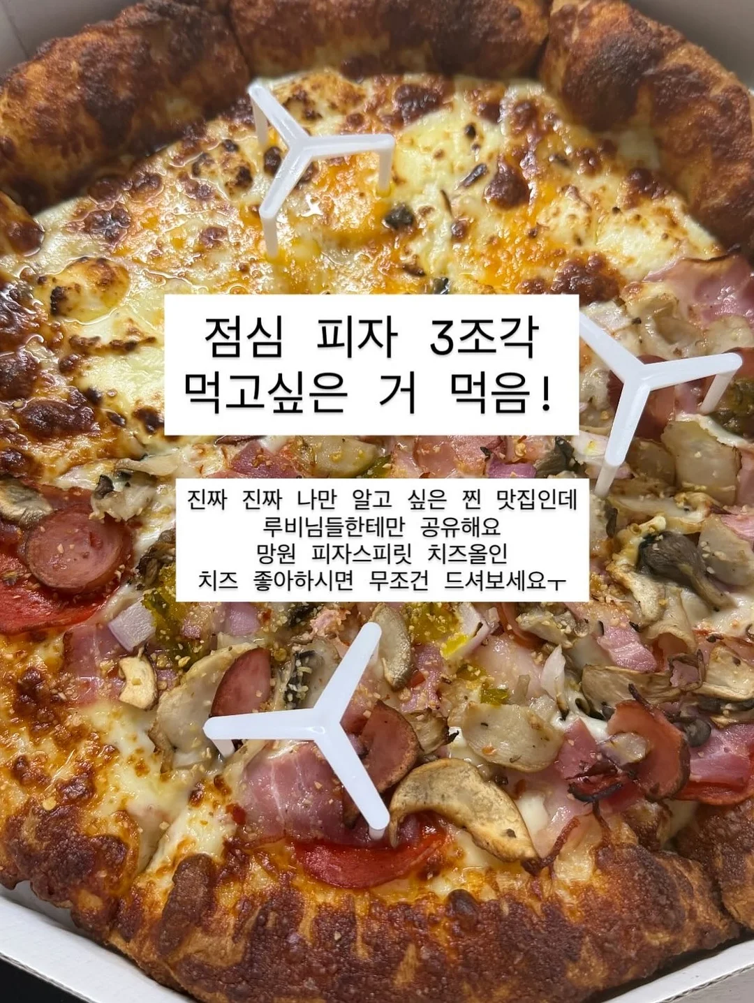 호접란 카네이션 바구니 5