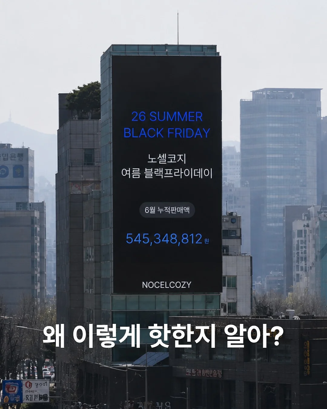 오픈 라운드 니트 2