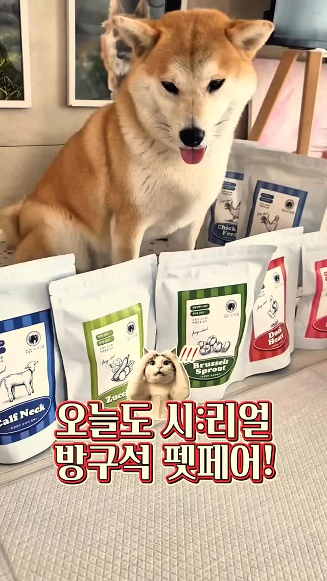 웨딩관리
