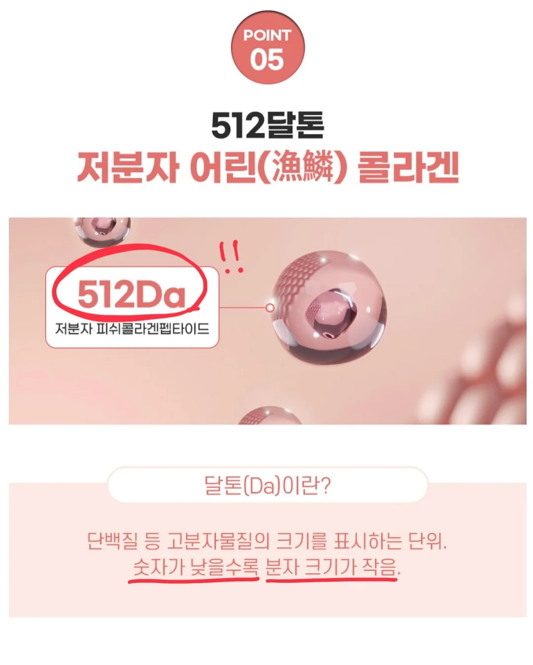 비트 몬스터 팟 6
