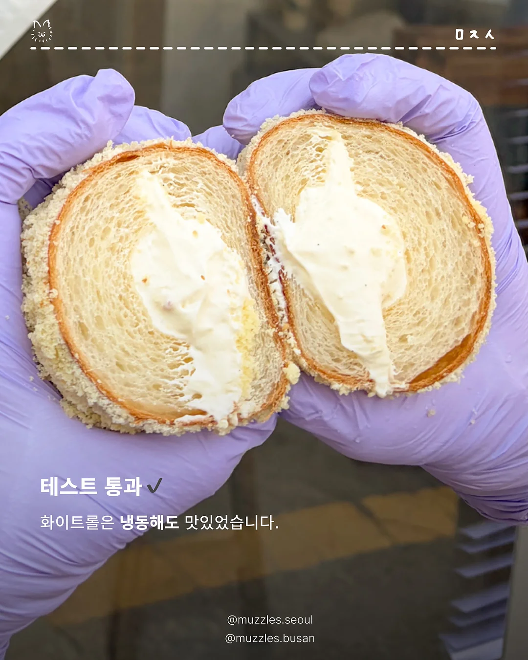 테라큐민 6