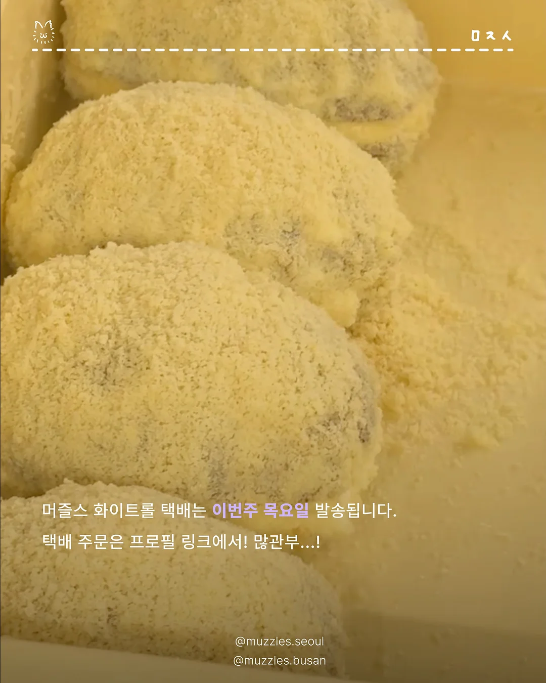 테라큐민 9