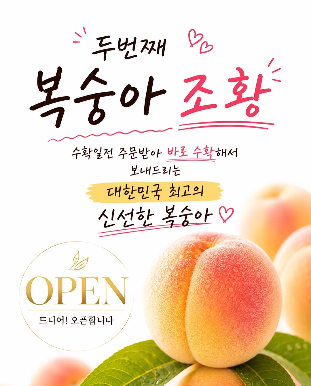 원형러그 1
