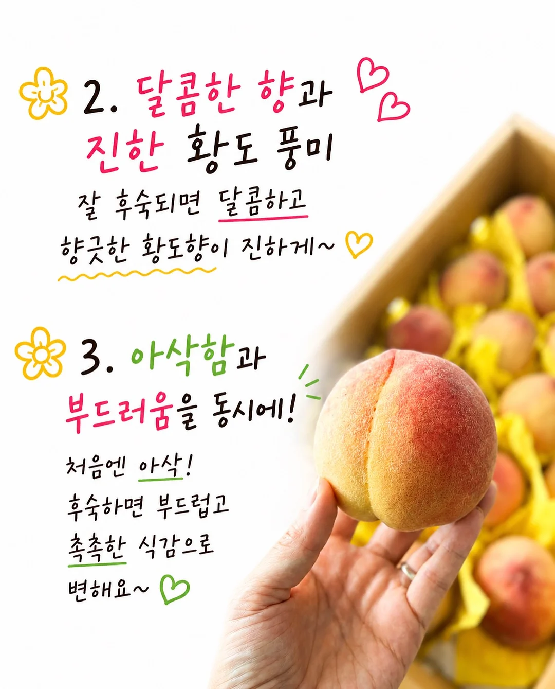 원형러그 4