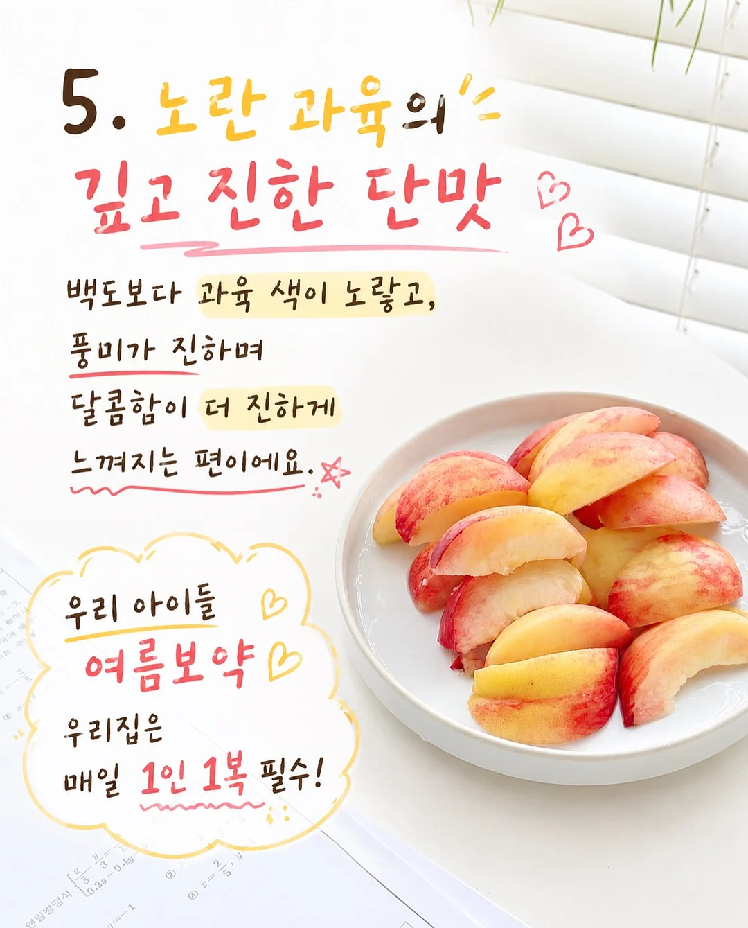 원형러그 6