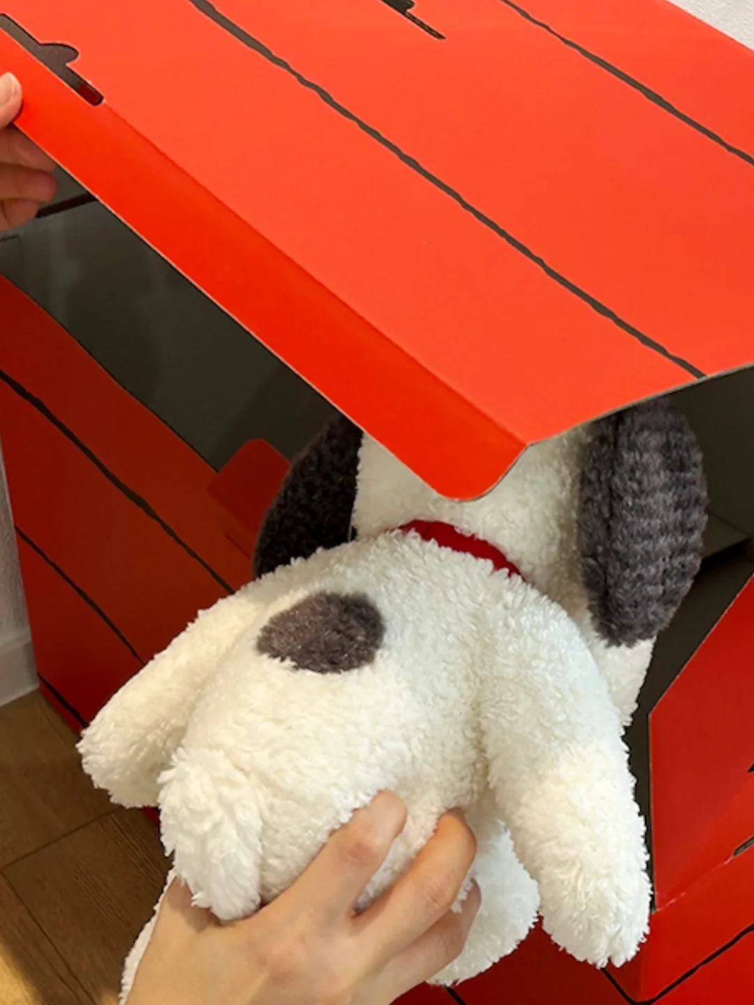 로모로모 비치가운 5