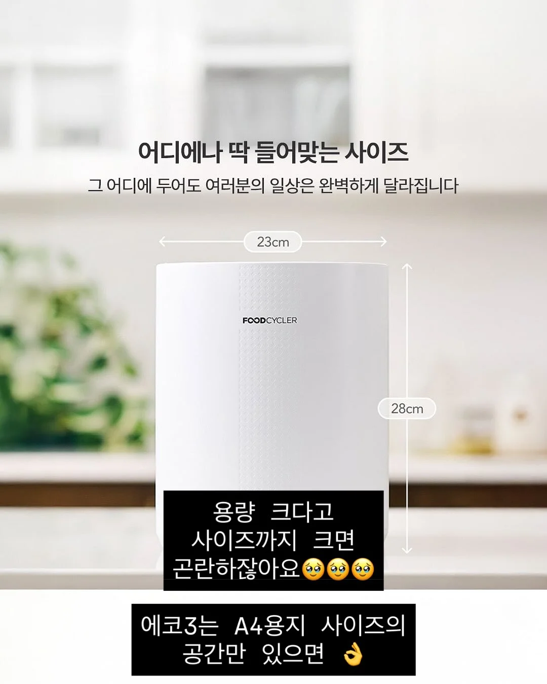 토마토 주스 10