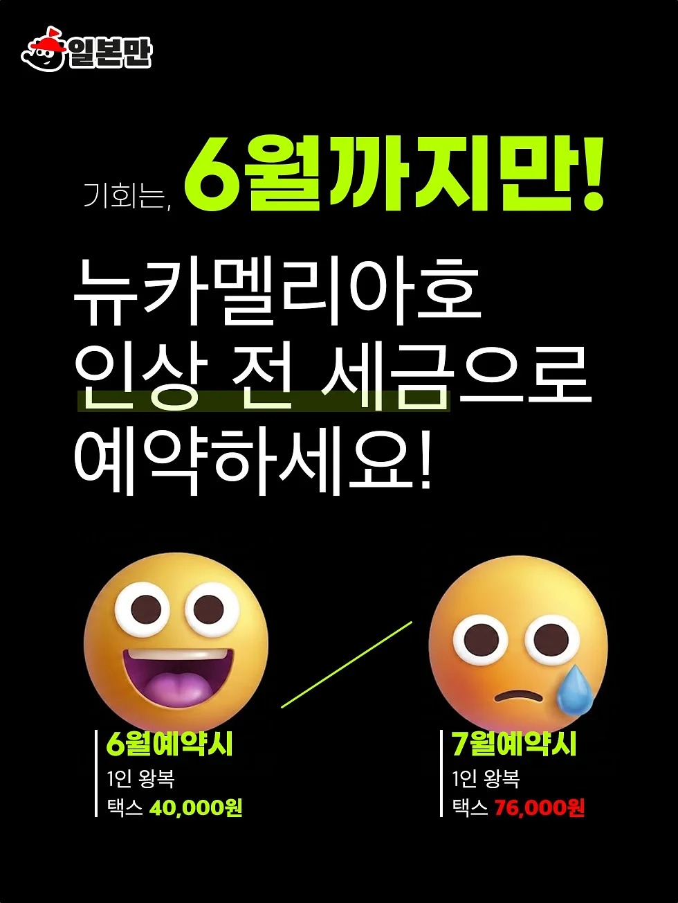 픽토리 빼뜨르 호라체크 8종 세트 / 조작북 8종 세트