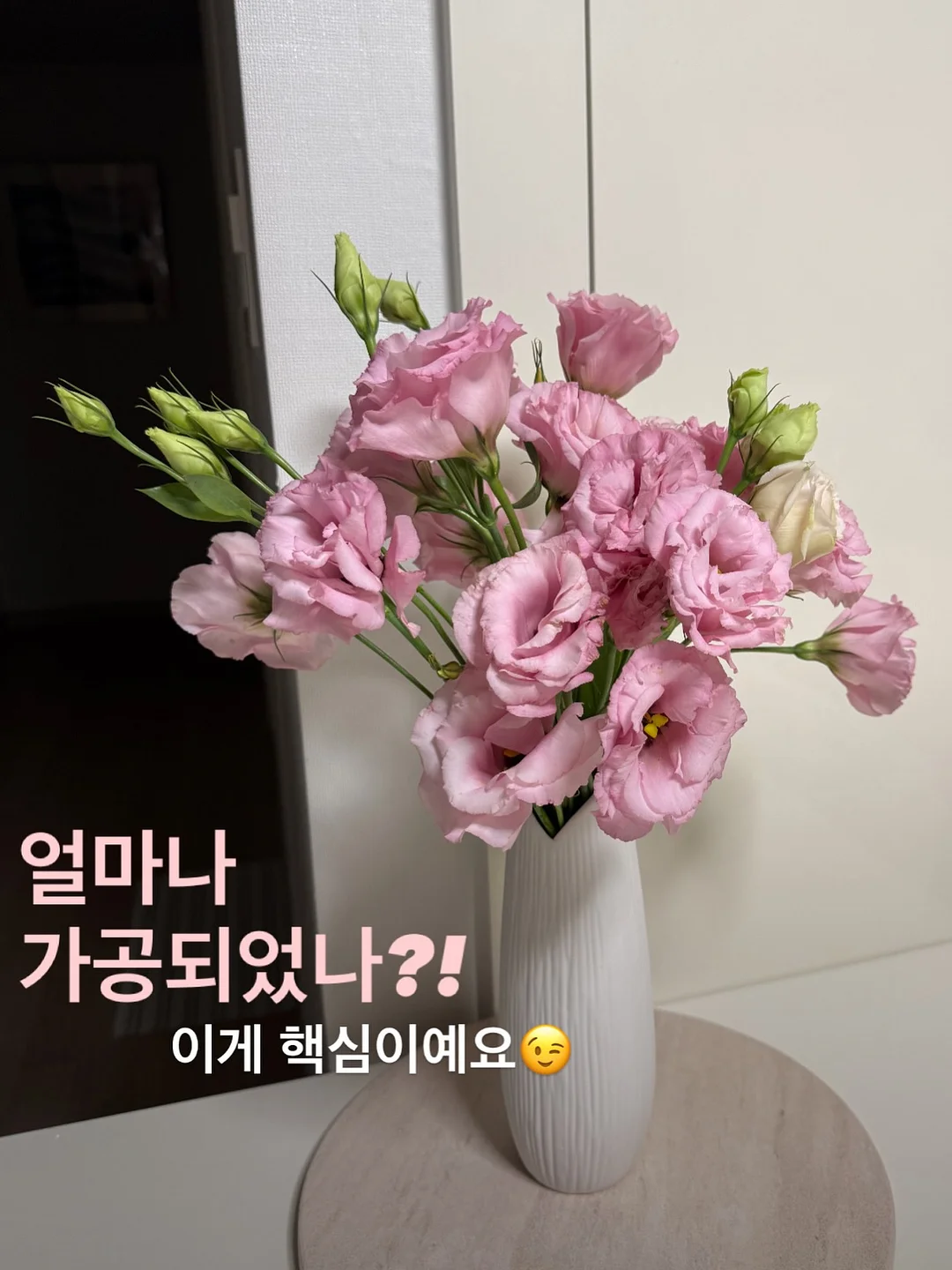 립프로그 카트 3