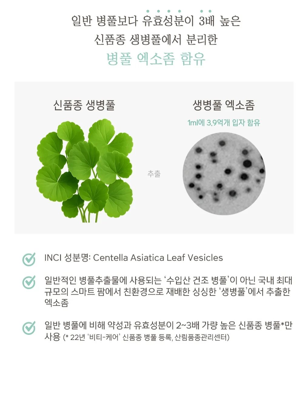 도자기 전문가반 10
