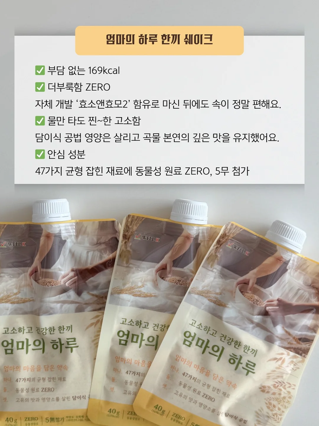 핀즈 톨레도 펫베드 11