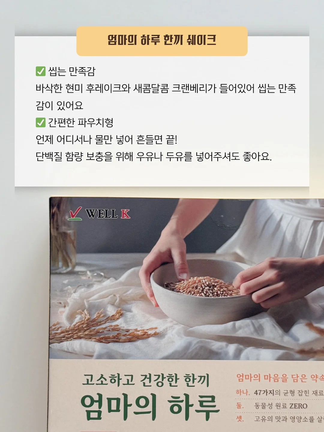 핀즈 톨레도 펫베드 12
