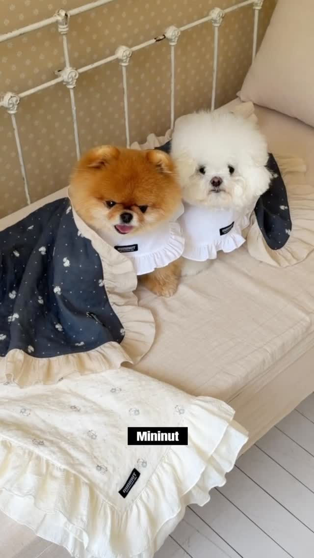 여름 데님 원피스
