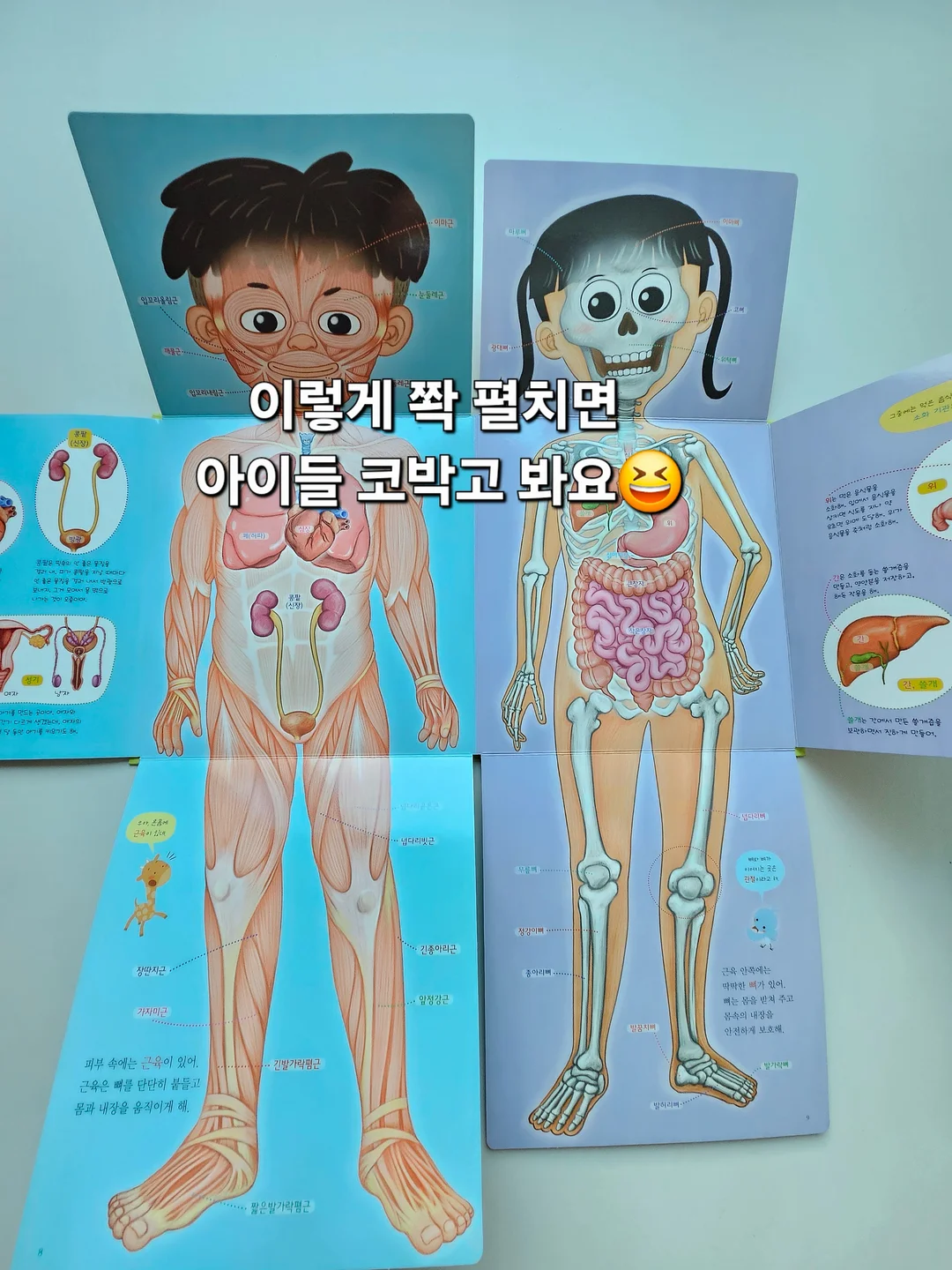 괄사, 목 견인기 7