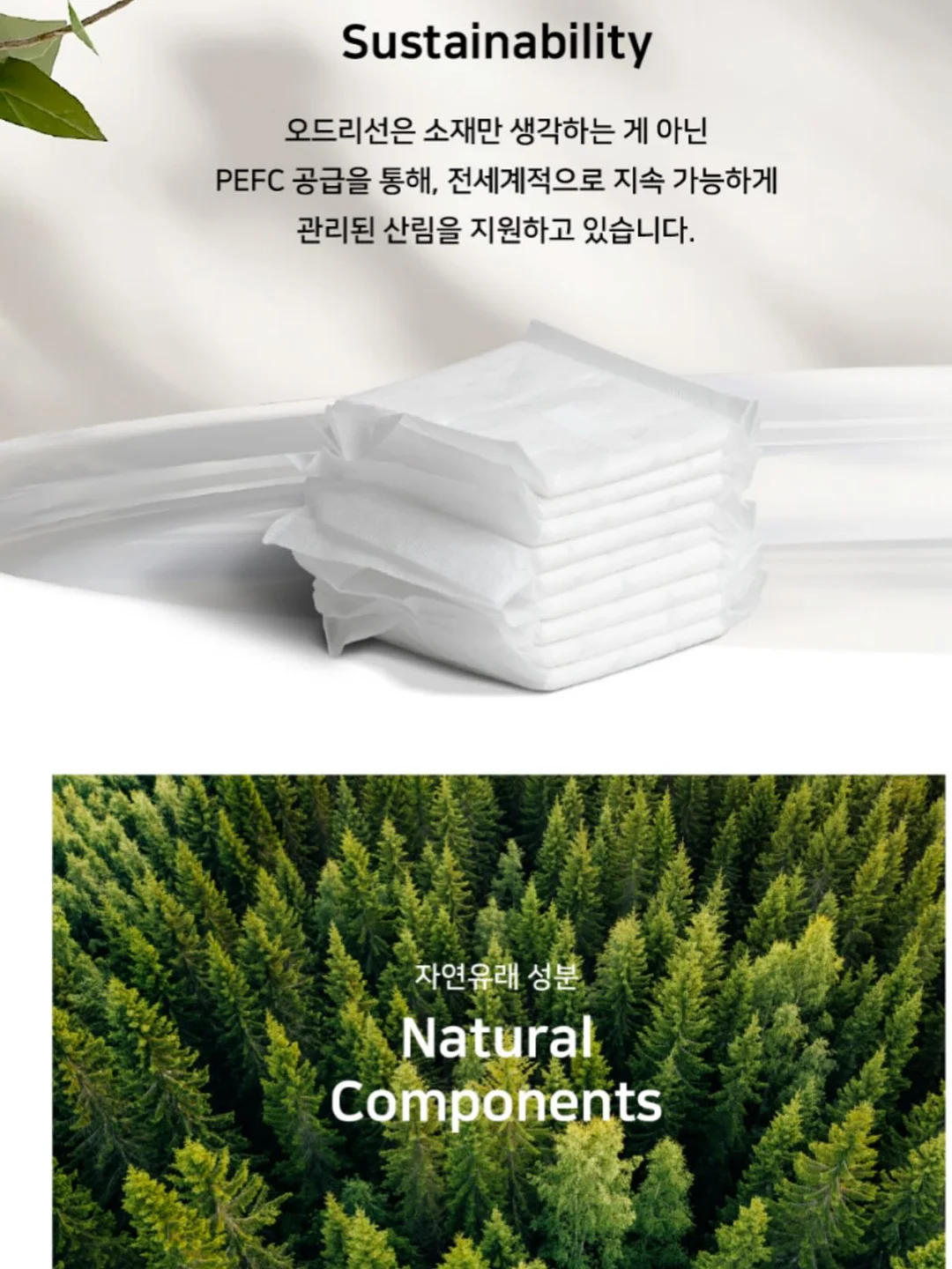 히든 스프레이 바디로션 7