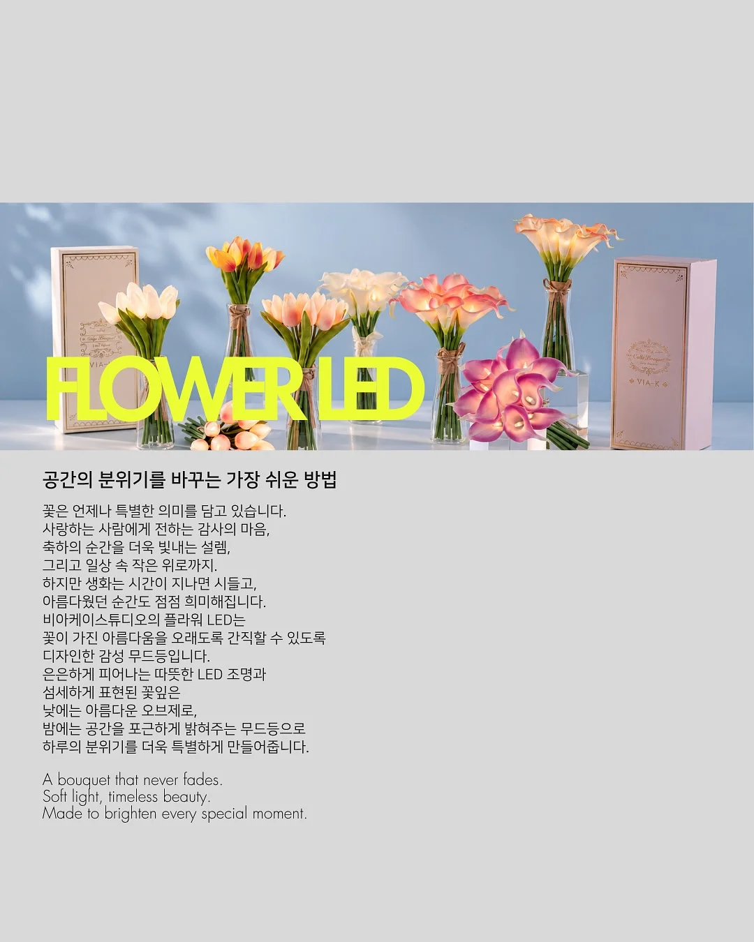 27년 상반기 촬영 2