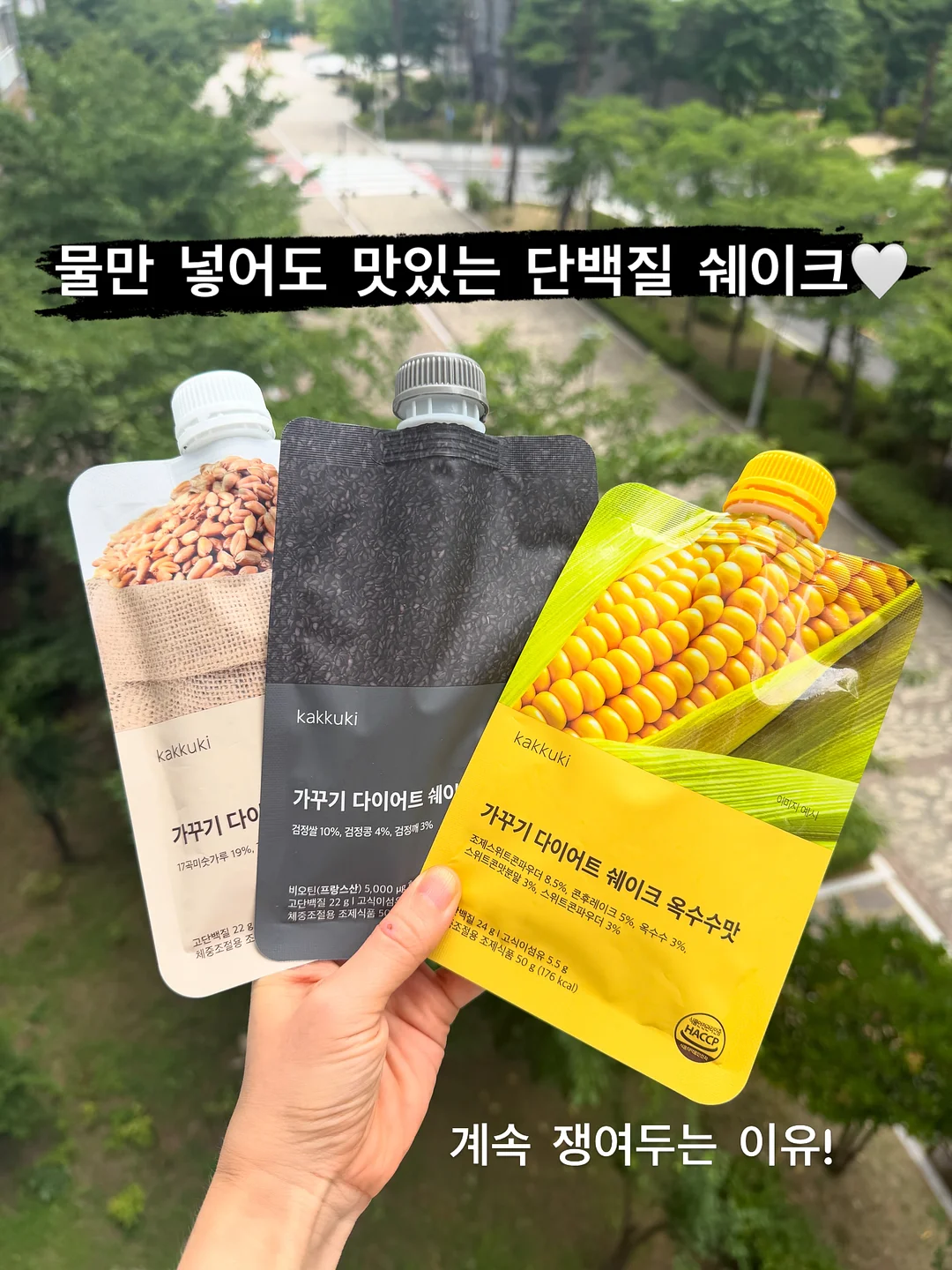 쇼펜하우어 인생수업 1