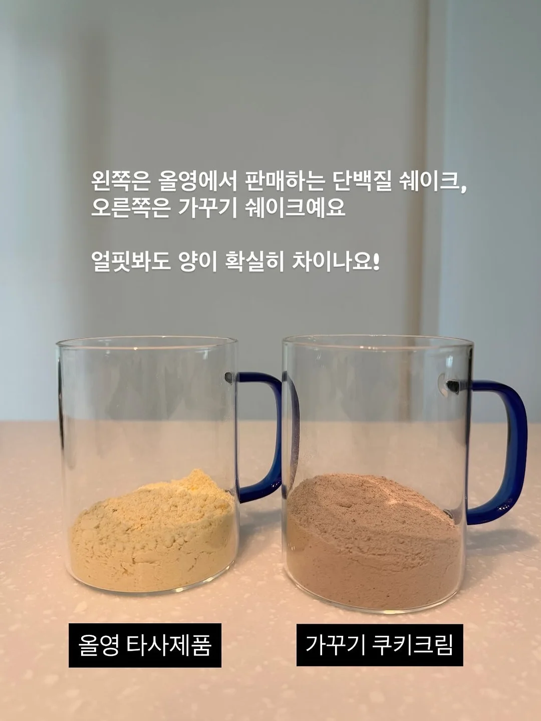 쇼펜하우어 인생수업 2