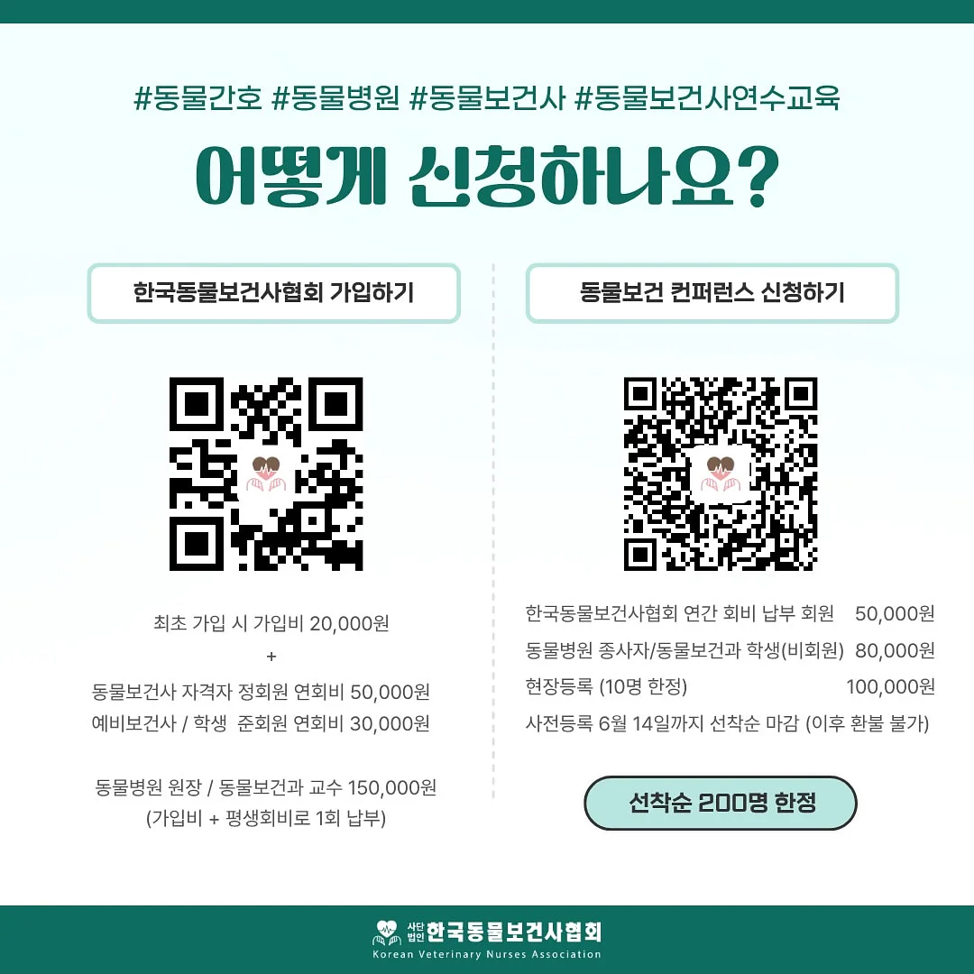 어리틀조이 아이ALJ티, 포레스트고쟁이 5