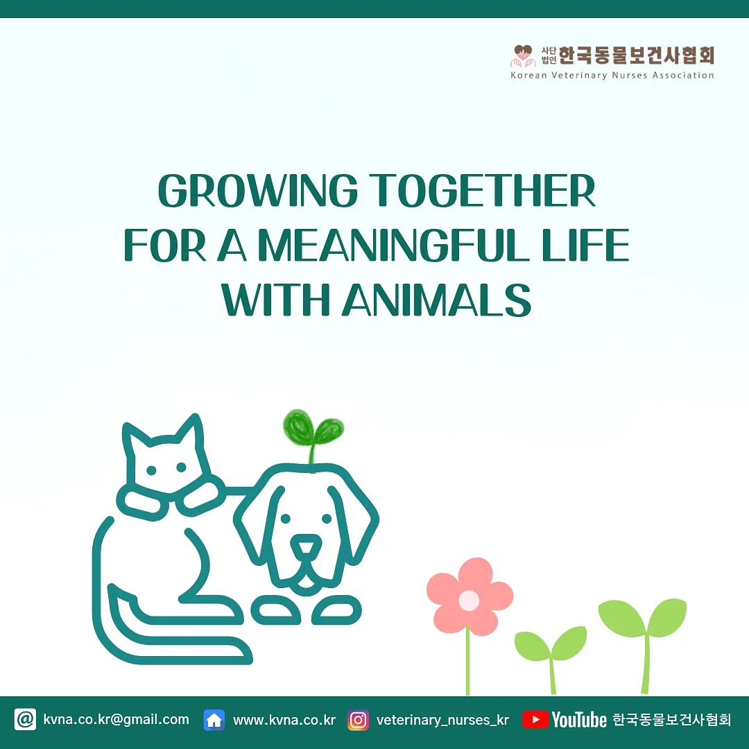 어리틀조이 아이ALJ티, 포레스트고쟁이 6