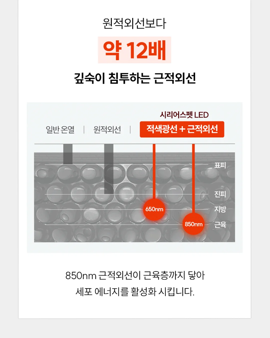 대파 보관법 20