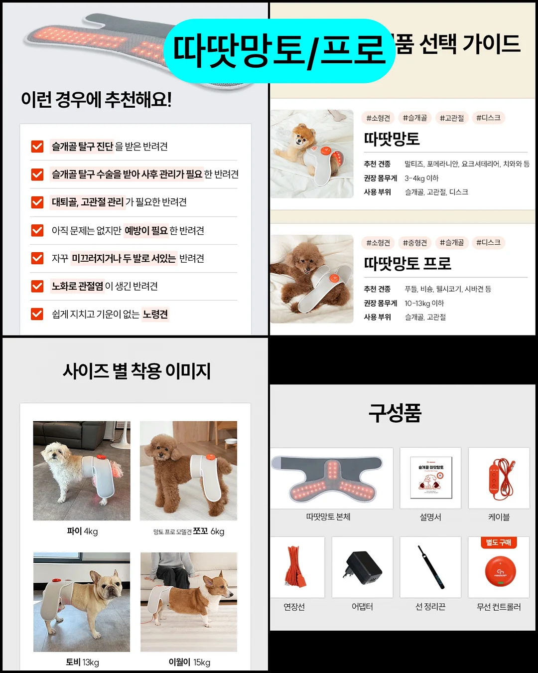 대파 보관법 8