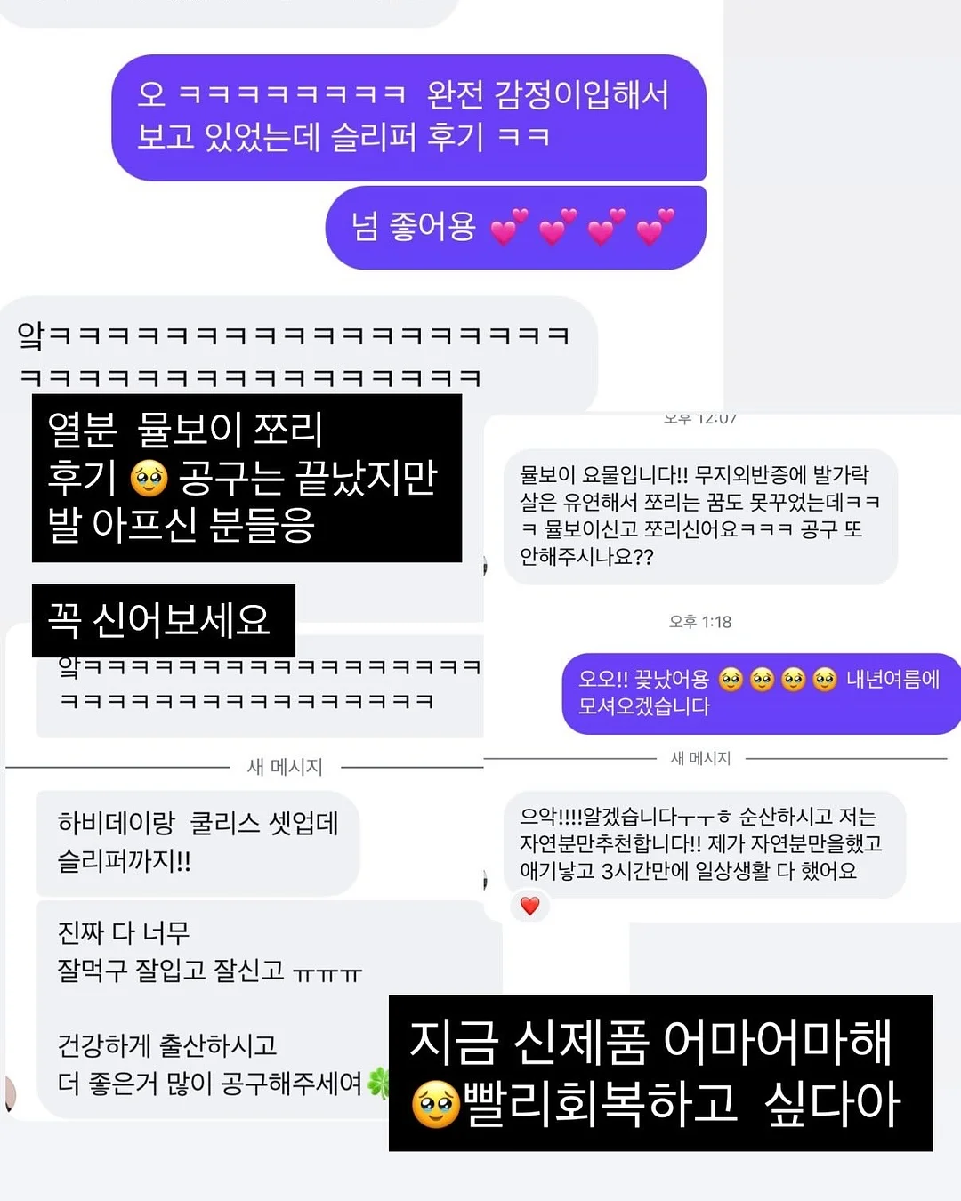 묘율 동방미인 차회 10